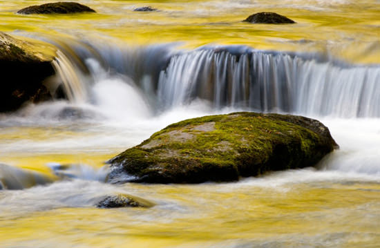 Photography Tip: The Magic of Water image 