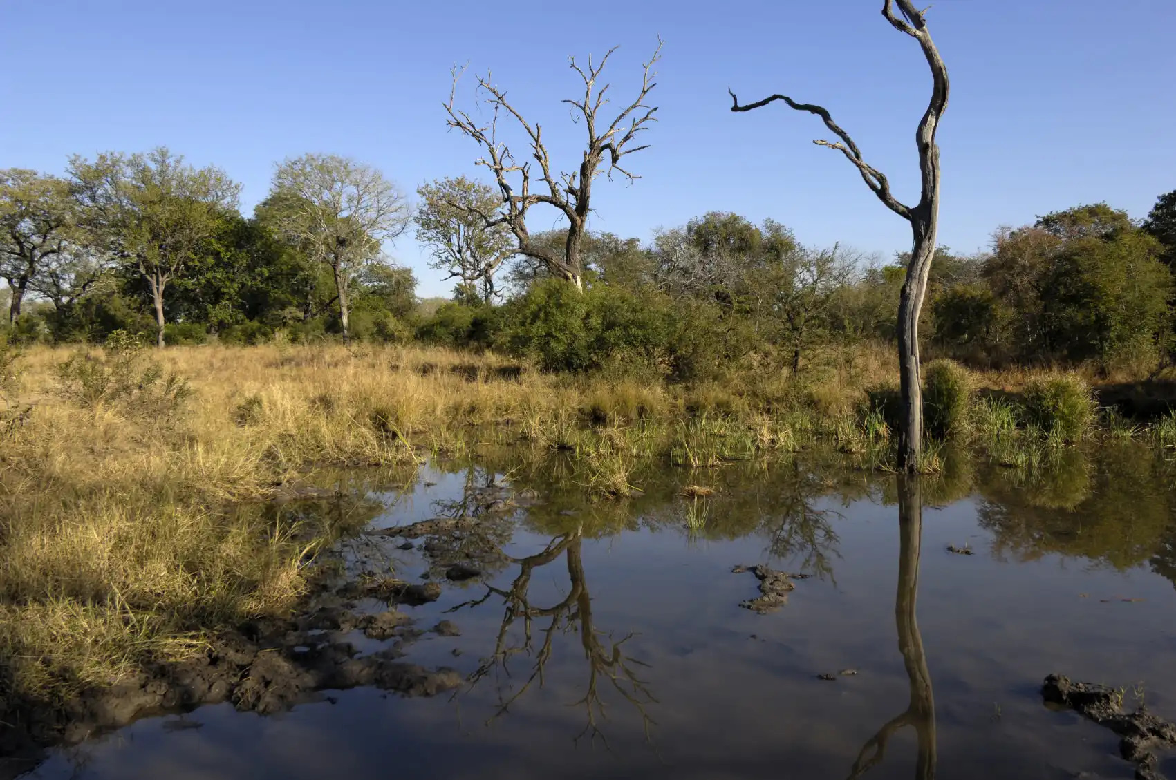 Africa: Then and Now, a Photographers Dream