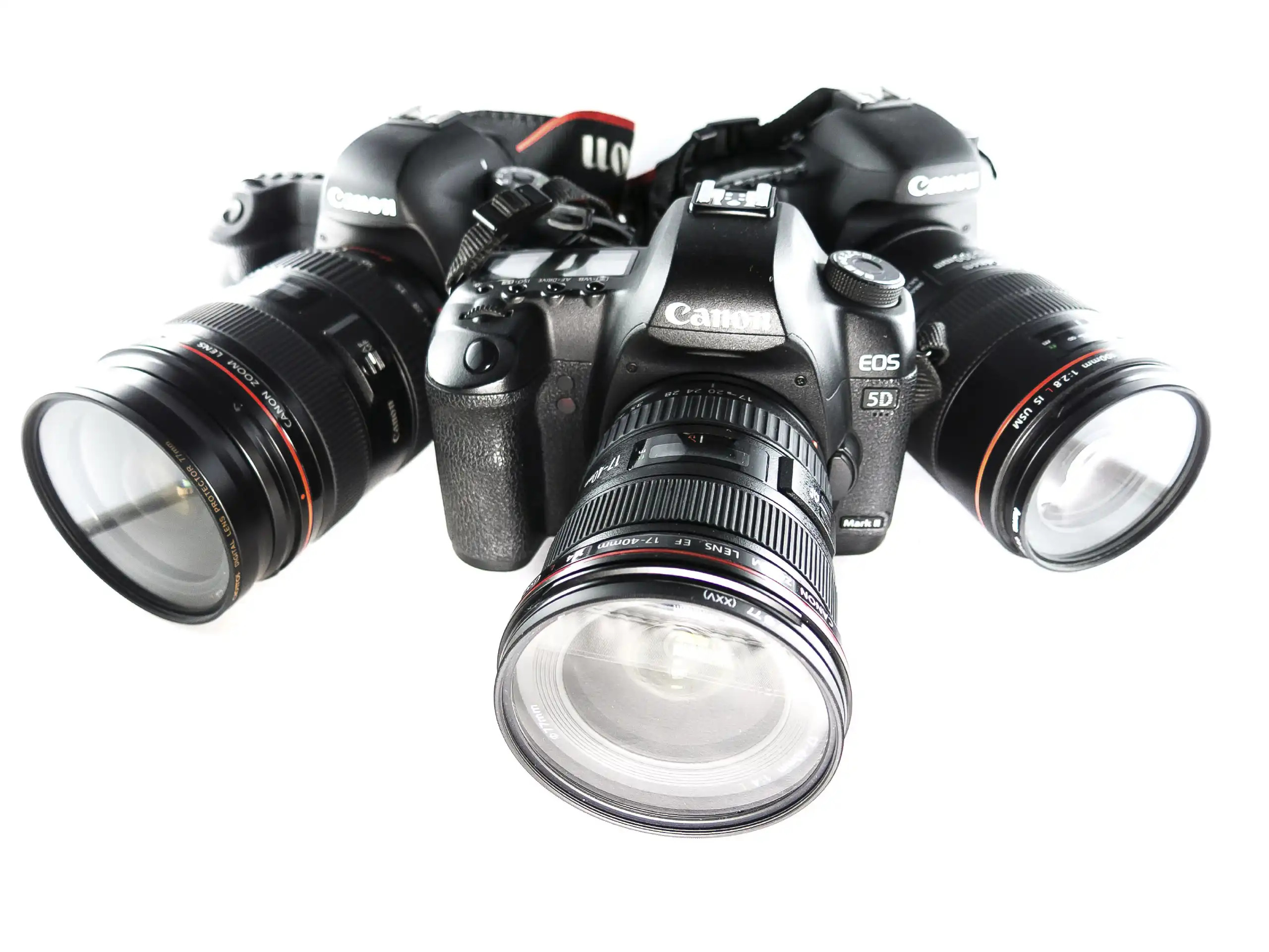 Top 3 Canon DSLRs