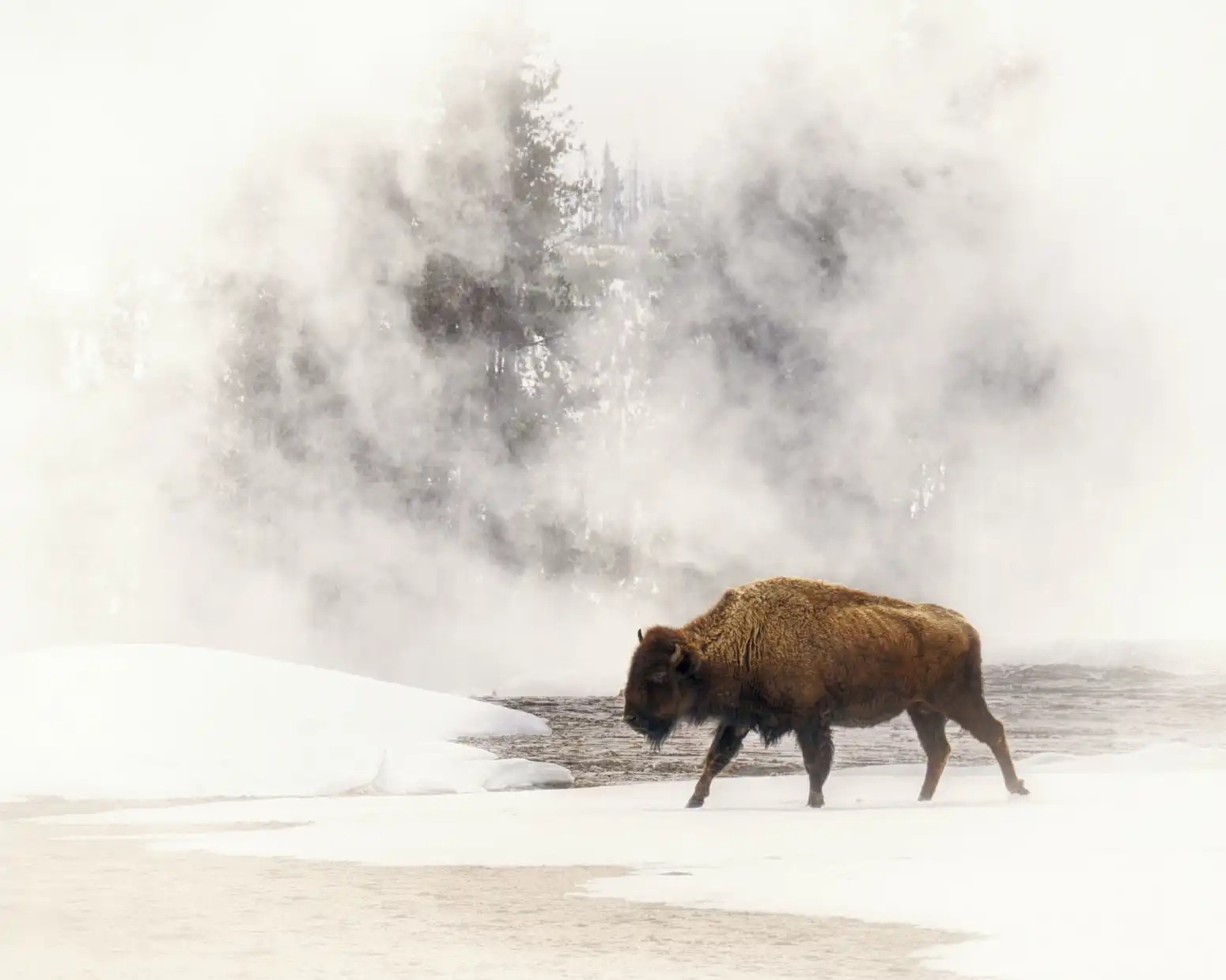 20 Images that Show why Yellowstone Should be on Your Bucket List