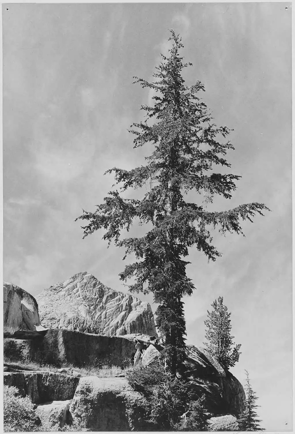 Ansel Adams National Archives 79 AA H08 min