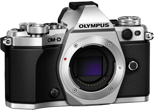 4 Reasons Why the Olympus OM-D E-M5 Mark II is a Great Beginner