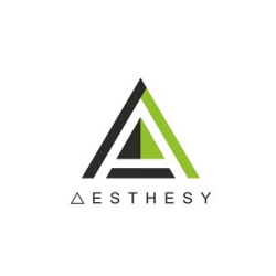 Aesthesy