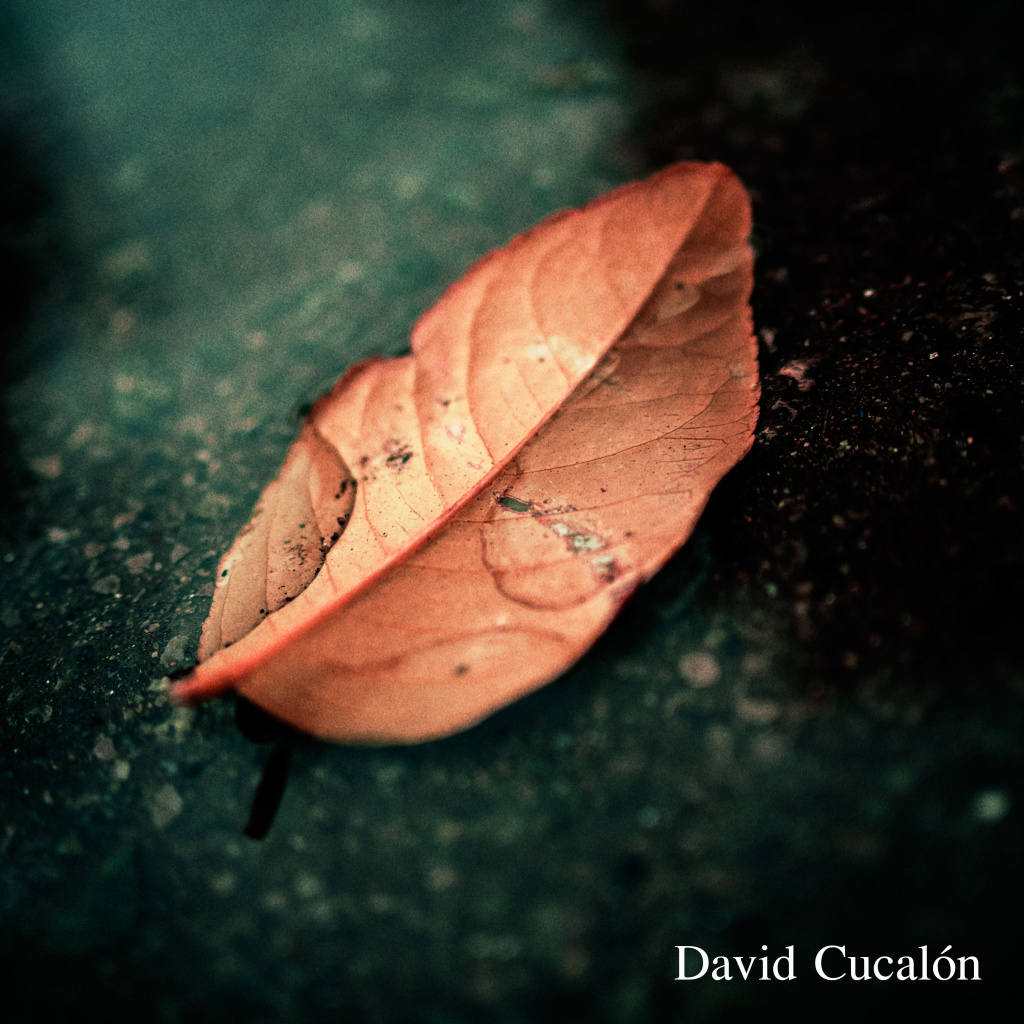 DavidCucalon