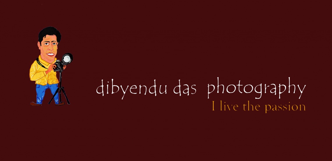 Dibyendu Das Photography