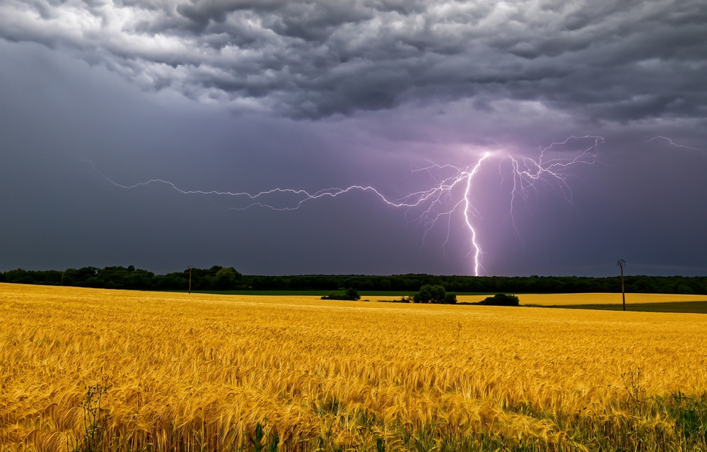 Lightning in a storm over the field