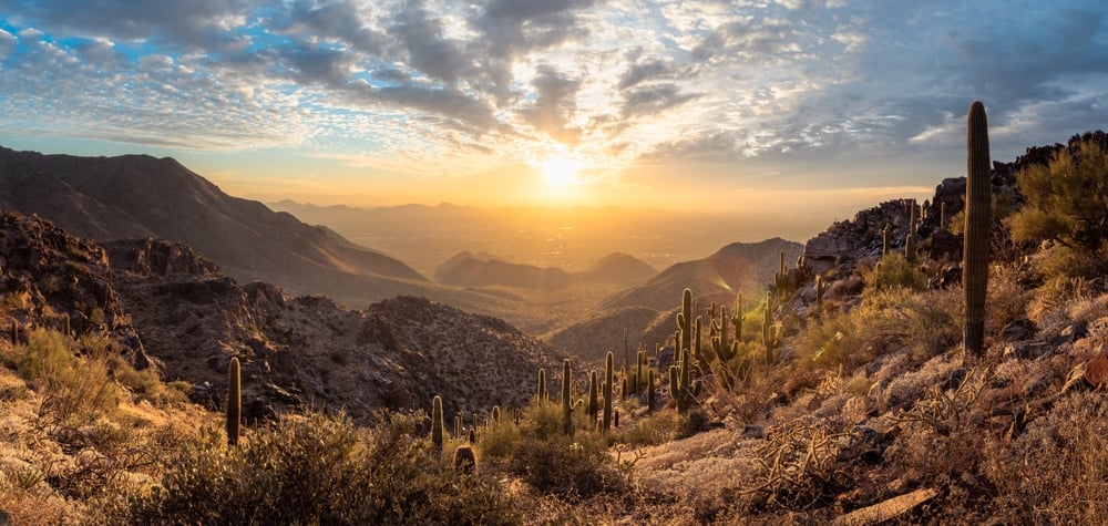  McDowell Sonoran Preserve overlooking Scottsdale, AZ during beautiful sunset