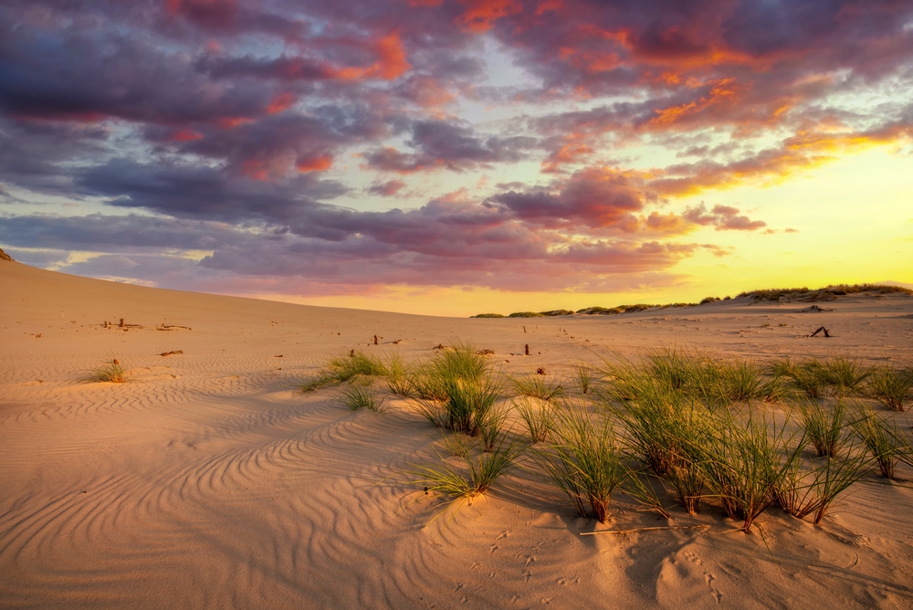 desert landscape during golden hour