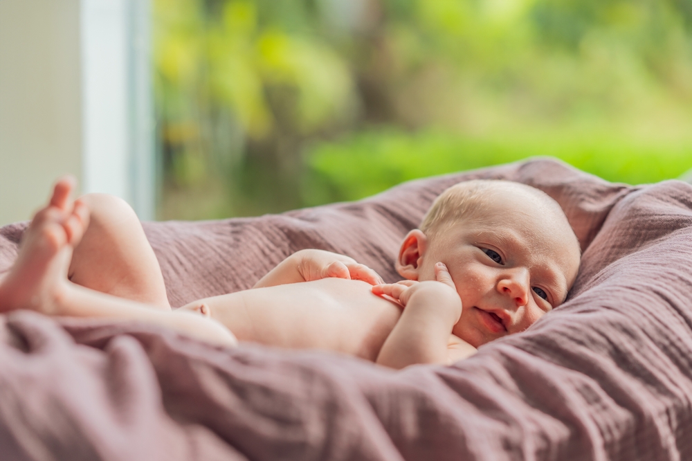 newborn lies in his cozy bed on blanket