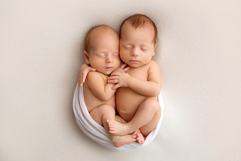 newborn twins boys in white cocoon on a white background