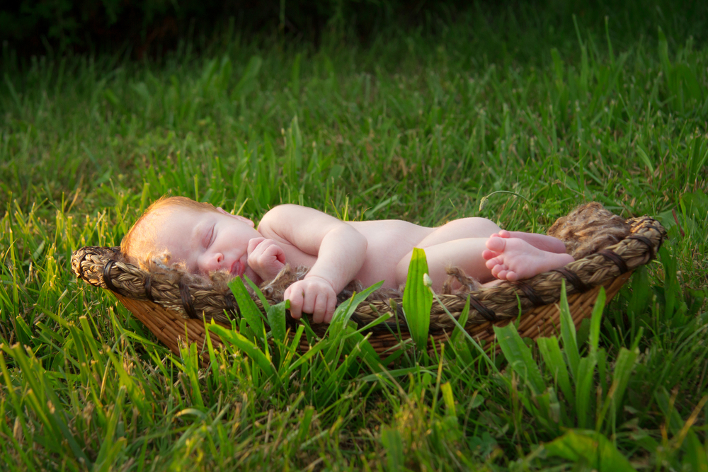 sleepy newborn baby is kissed by the sun as she lies in a basket in the grass