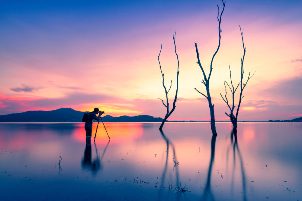 Silhouette of a photographer in a lake at a pink and blue sunset