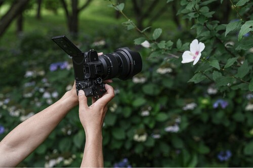 Sony a7R V photographing a flower